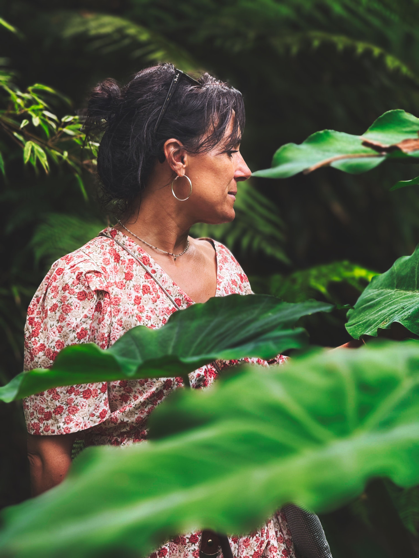 Portrait, série éditoriale